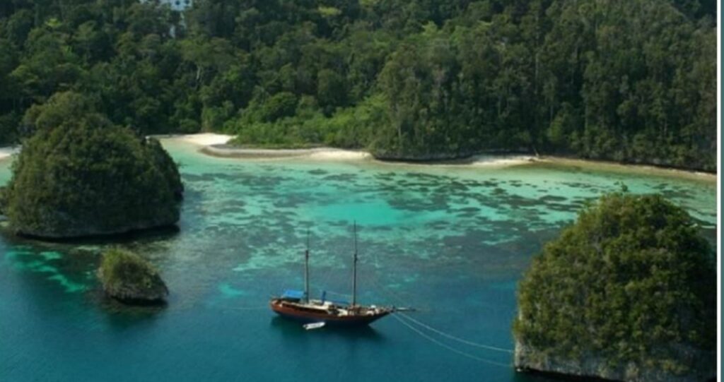 নিউ গিনি দ্বীপ