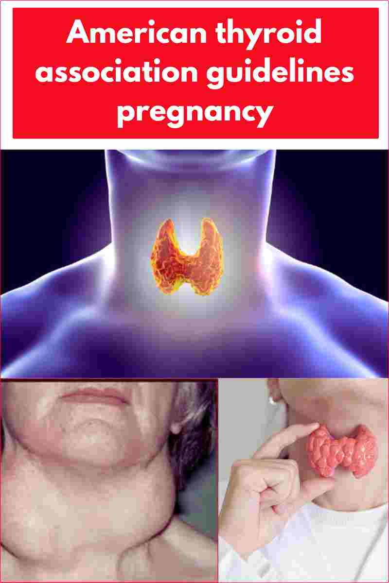American thyroid association guidelines pregnancy
