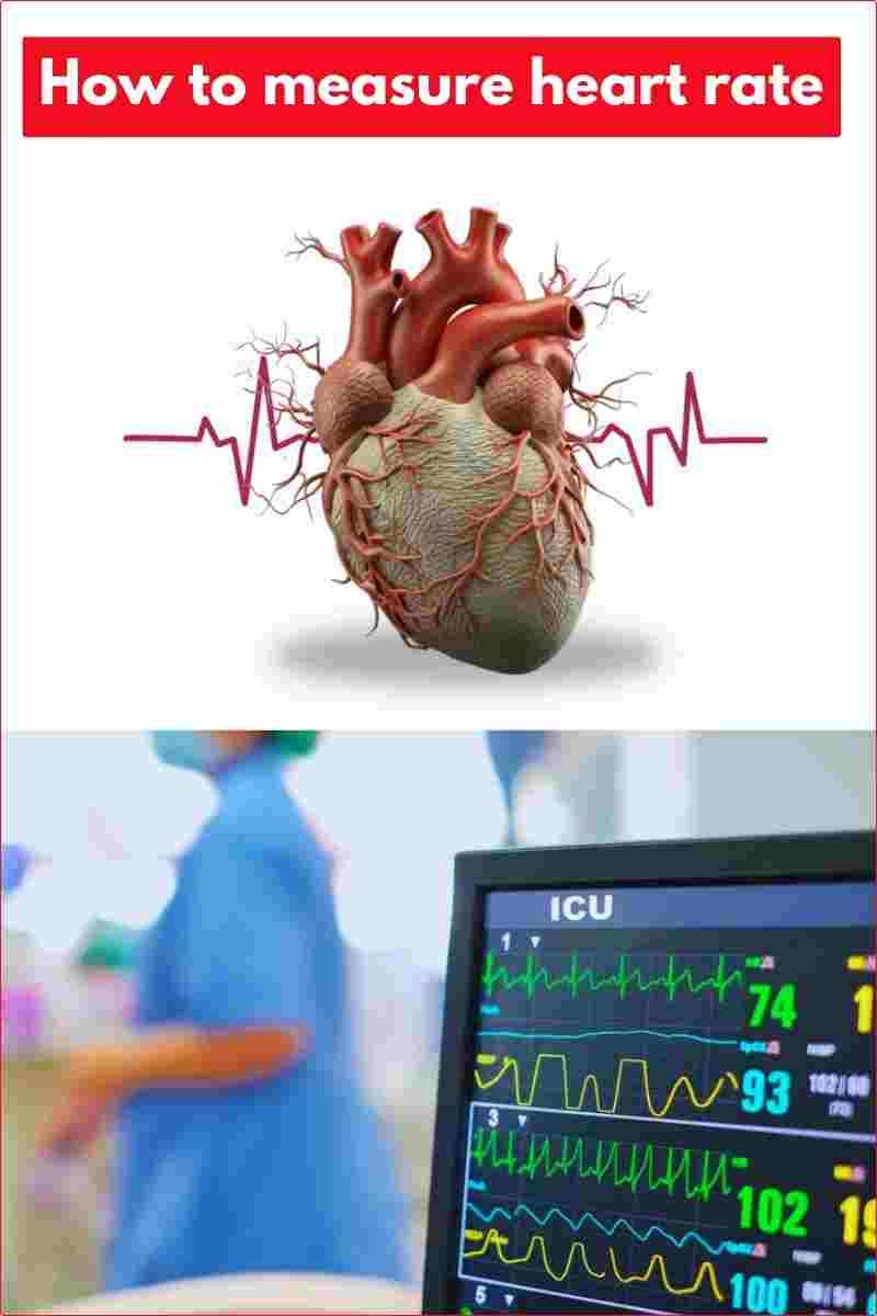 How to measure heart rate