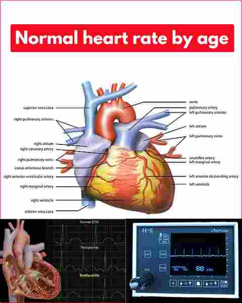 Normal heart rate by age