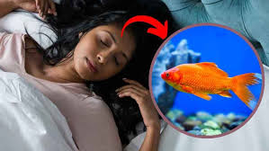 Fish Dream Meaning স্বপনে মাছ ধরতে দেখলে কি হয়