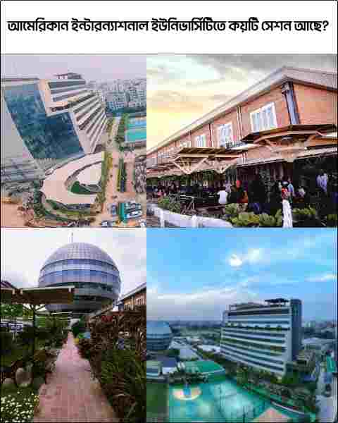 আমেরিকান ইন্টারন্যাশনাল ইউনিভার্সিটিতে কয়টি সেশন আছে